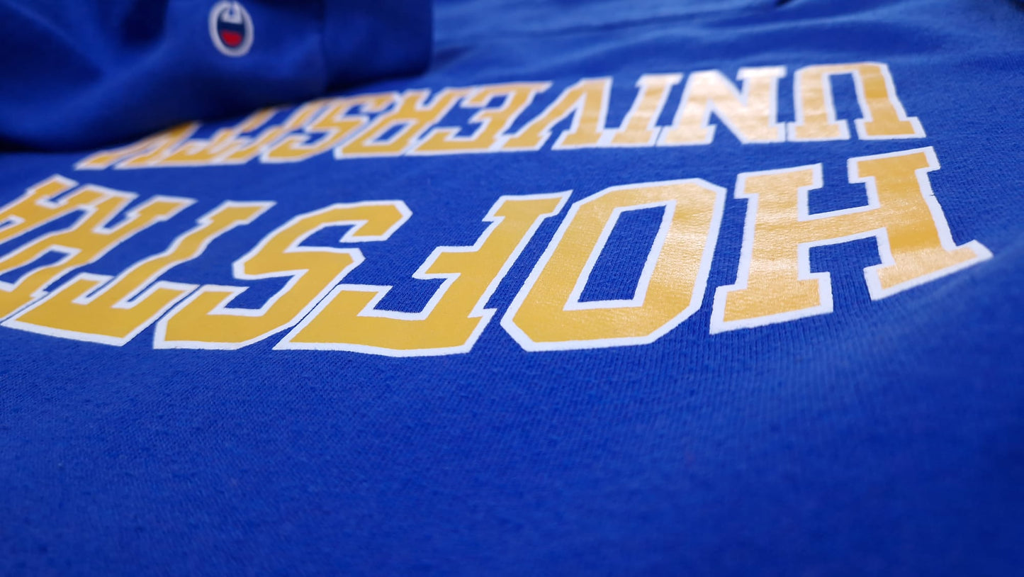 Sweat à capuche '' Hofstra University' - Champion